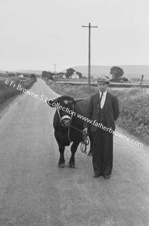 ROAD TO LOUGH TALT PRIZE BULL  P DURKIN  BONNCOULON